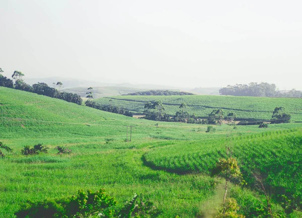 Green hills and farmland in the KwaZulu-Natal Midlands